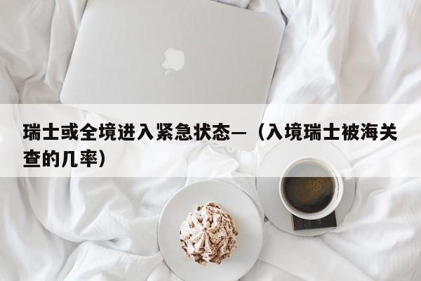 瑞士或全境进入紧急状态—（入境瑞士被海关查的几率）