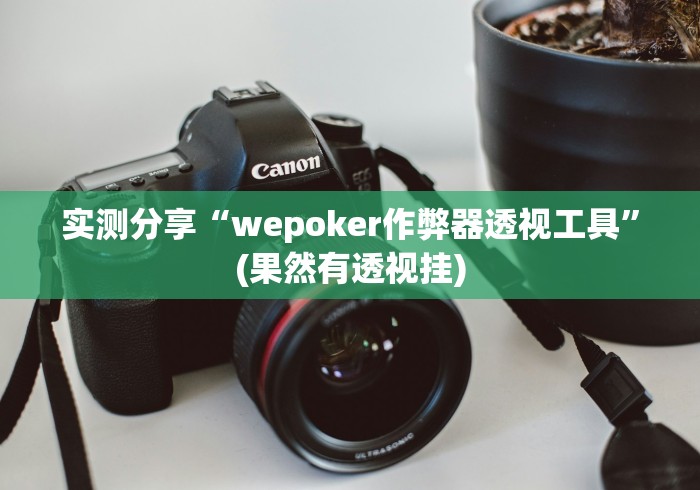 开挂辅助工具“山水广西麻将开挂的吗”开挂辅助详细步骤