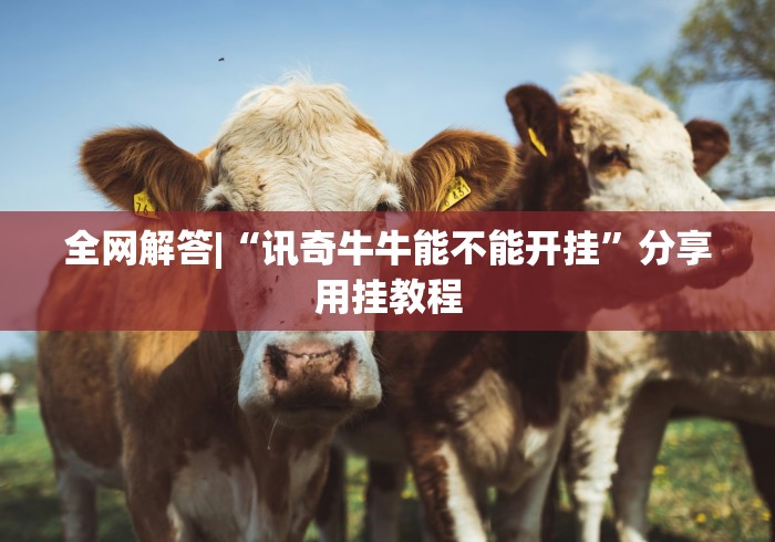 推荐一款“欢乐风暴有挂吗可以开挂吗”(果然有透视挂)