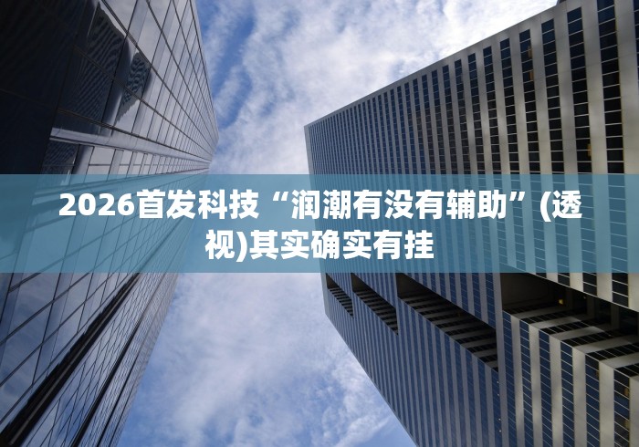 2026首发科技“润潮有没有辅助”(透视)其实确实有挂