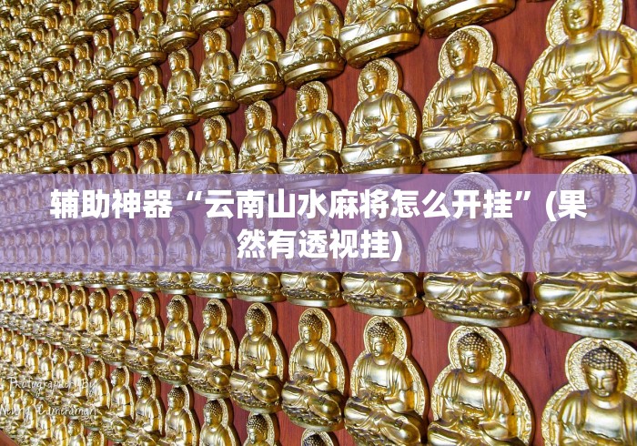 辅助神器“云南山水麻将怎么开挂”(果然有透视挂)