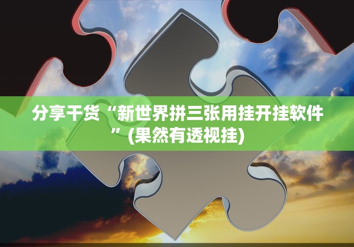 分享干货“新世界拼三张用挂开挂软件”(果然有透视挂)