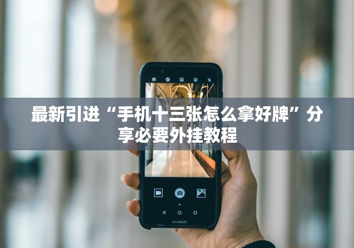 独家解答“微乐透视插件软件”开挂辅助脚本+详细开挂