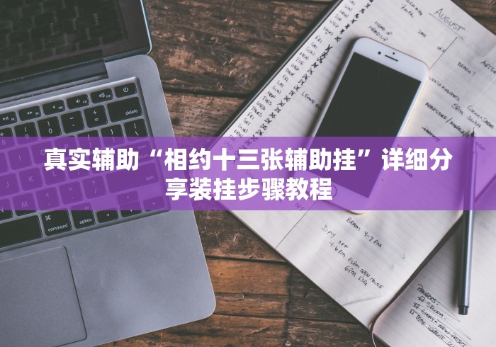 真实辅助“相约十三张辅助挂”详细分享装挂步骤教程