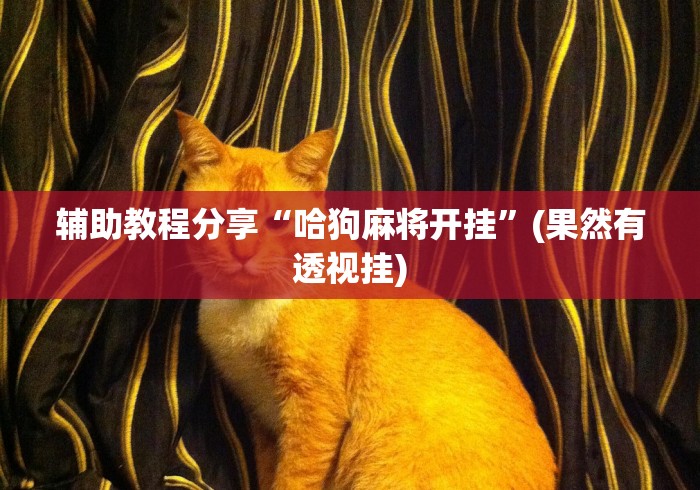 分享干货“同城游比鸡有挂吗	”详细分享装挂步骤教程