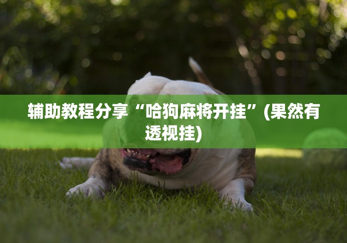 辅助教程分享“胡乐晋中麻将能开挂	”确实有挂
