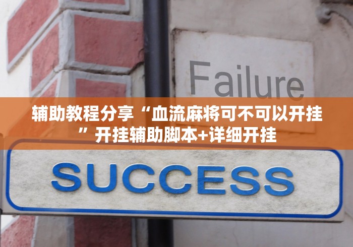 辅助教程分享“血流麻将可不可以开挂”开挂辅助脚本+详细开挂