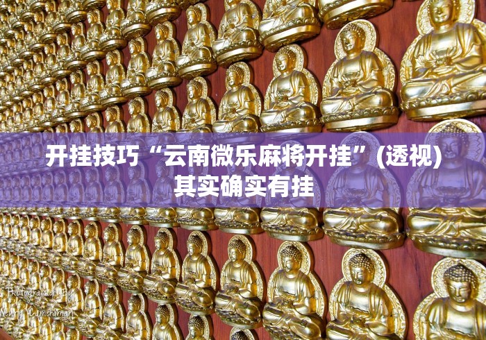 开挂技巧“云南微乐麻将开挂”(透视)其实确实有挂