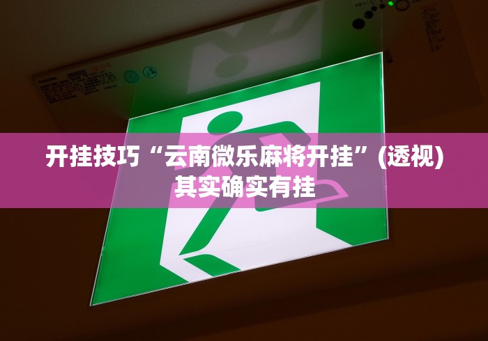 开挂技巧“云南微乐麻将开挂”(透视)其实确实有挂