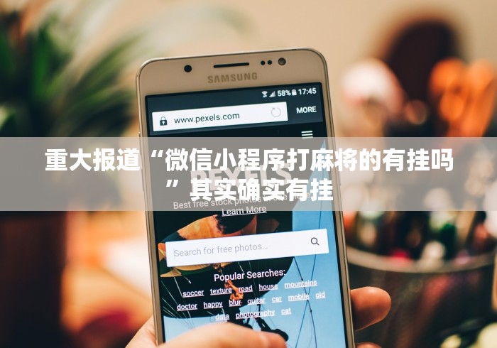 重大报道“微信小程序打麻将的有挂吗”其实确实有挂