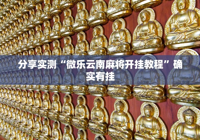 分享实测“微乐云南麻将开挂教程”确实有挂