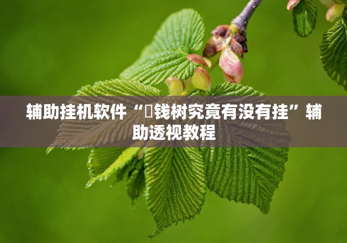 辅助挂机软件“揺钱树究竟有没有挂”辅助透视教程