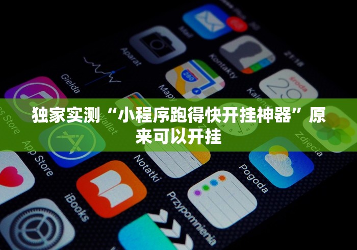 独家实测“小程序跑得快开挂神器	”原来可以开挂