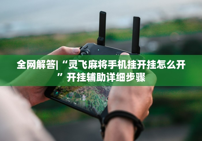 全网解答|“灵飞麻将手机挂开挂怎么开”开挂辅助详细步骤