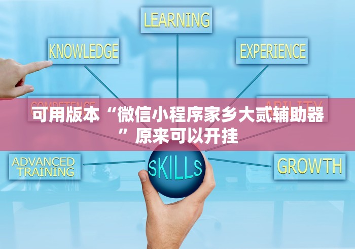 可用版本“微信小程序家乡大贰辅助器”原来可以开挂