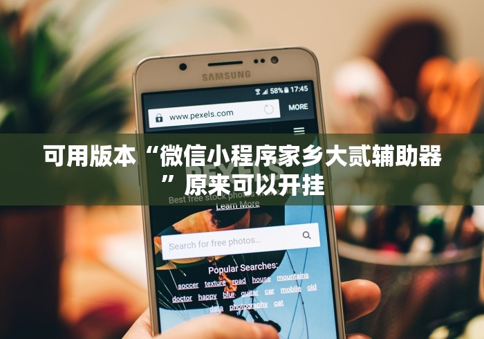 可用版本“微信小程序家乡大贰辅助器”原来可以开挂