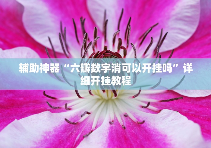 辅助神器“六瓣数字消可以开挂吗”详细开挂教程