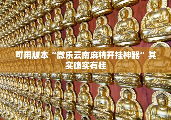 可用版本“微乐云南麻将开挂神器”其实确实有挂