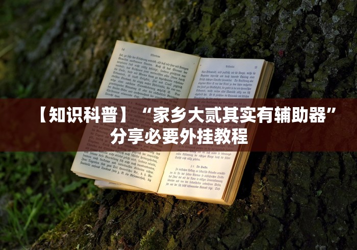 【知识科普】“家乡大贰其实有辅助器”分享必要外挂教程