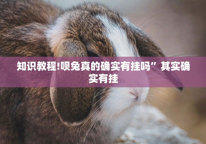 知识教程!呗兔真的确实有挂吗”其实确实有挂
