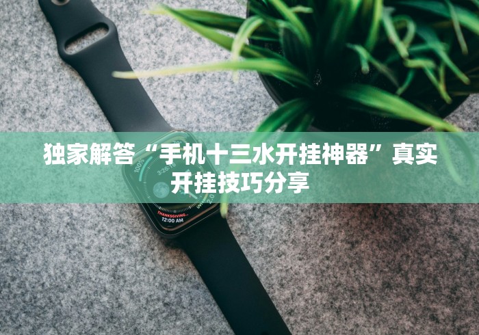 独家解答“手机十三水开挂神器”真实开挂技巧分享