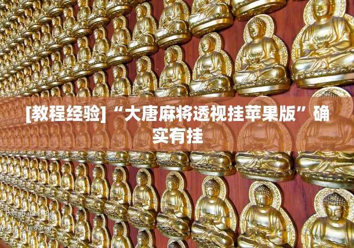[教程经验]“大唐麻将透视挂苹果版”确实有挂