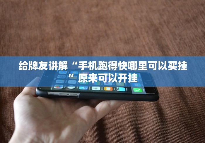 给牌友讲解“手机跑得快哪里可以买挂”原来可以开挂