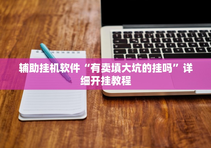 辅助挂机软件“有卖填大坑的挂吗”详细开挂教程