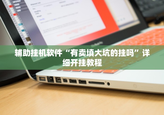 辅助挂机软件“有卖填大坑的挂吗”详细开挂教程