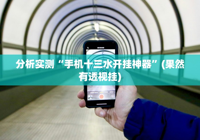 真实辅助“冠赢十三张怎么开挂”辅助透视教程