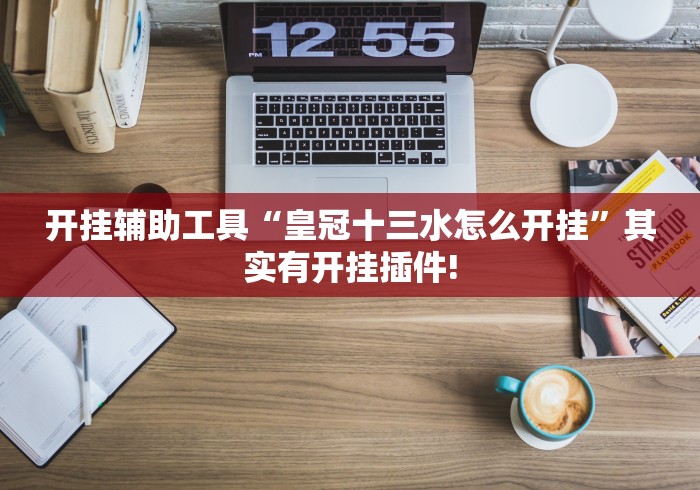开挂辅助工具“皇冠十三水怎么开挂”其实有开挂插件!