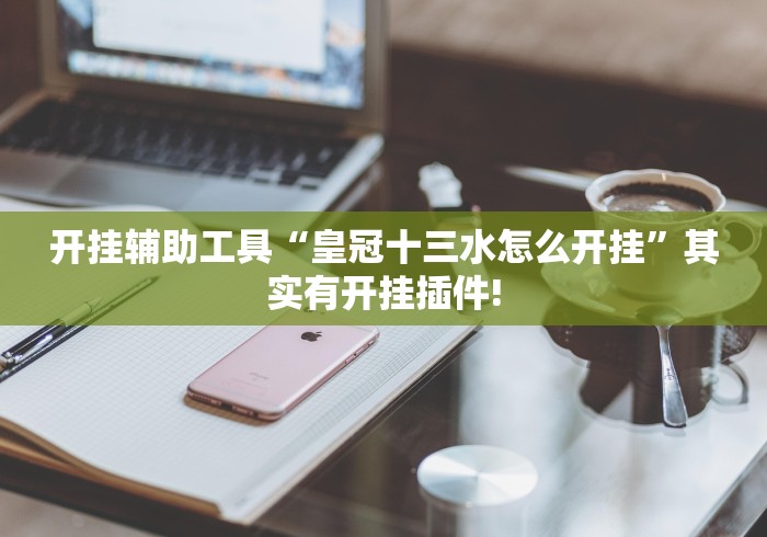 开挂辅助工具“皇冠十三水怎么开挂	”其实有开挂插件!