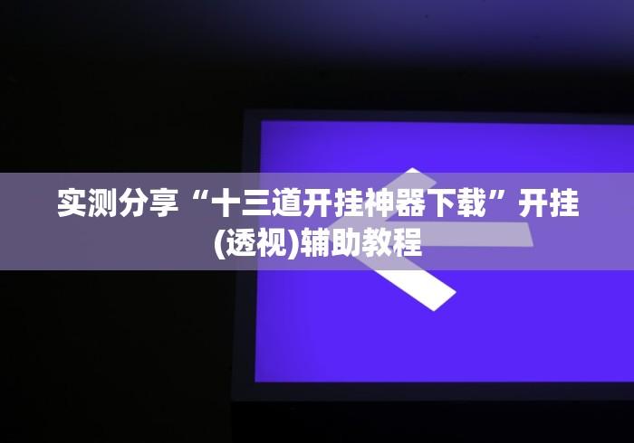 实测分享“十三道开挂神器下载”开挂(透视)辅助教程
