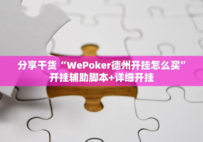 分享干货“WePoker德州开挂怎么买”开挂辅助脚本+详细开挂
