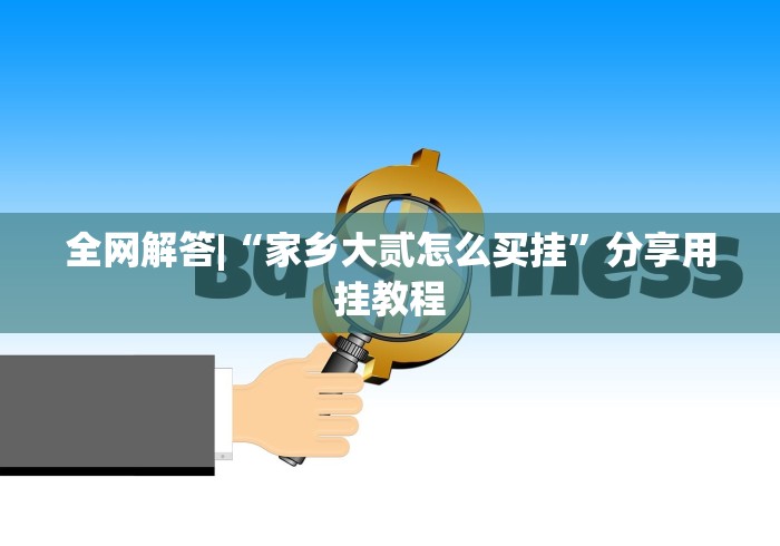 全网解答|“家乡大贰怎么买挂”分享用挂教程