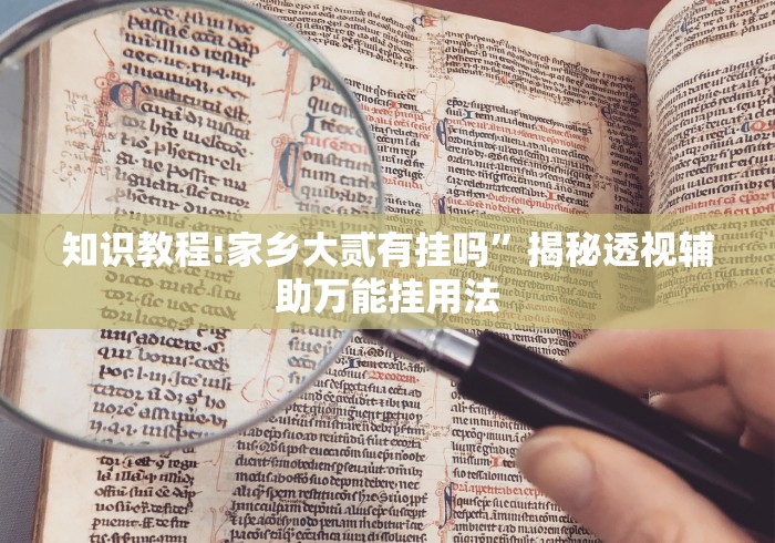 知识教程!家乡大贰有挂吗”揭秘透视辅助万能挂用法