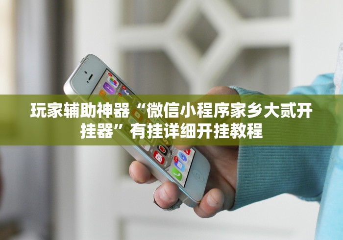 玩家辅助神器“微信小程序家乡大贰开挂器”有挂详细开挂教程