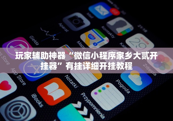 玩家辅助神器“微信小程序家乡大贰开挂器”有挂详细开挂教程