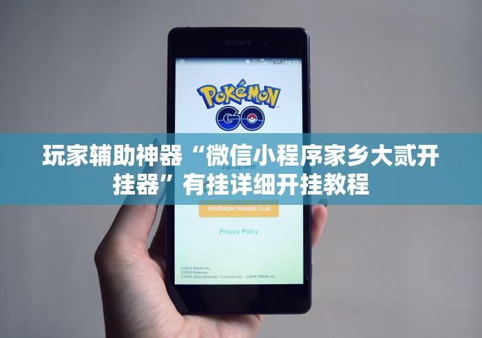 玩家辅助神器“微信小程序家乡大贰开挂器	”有挂详细开挂教程