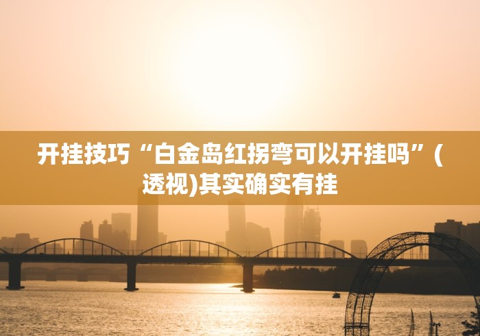 开挂技巧“白金岛红拐弯可以开挂吗”(透视)其实确实有挂