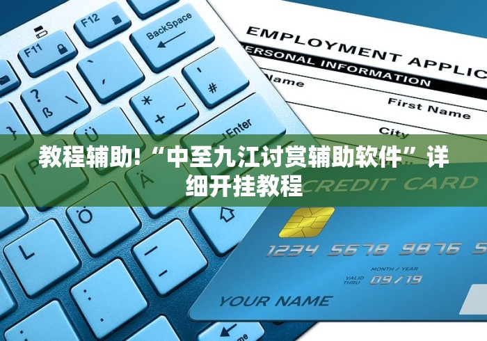 教程辅助!“中至九江讨赏辅助软件”详细开挂教程