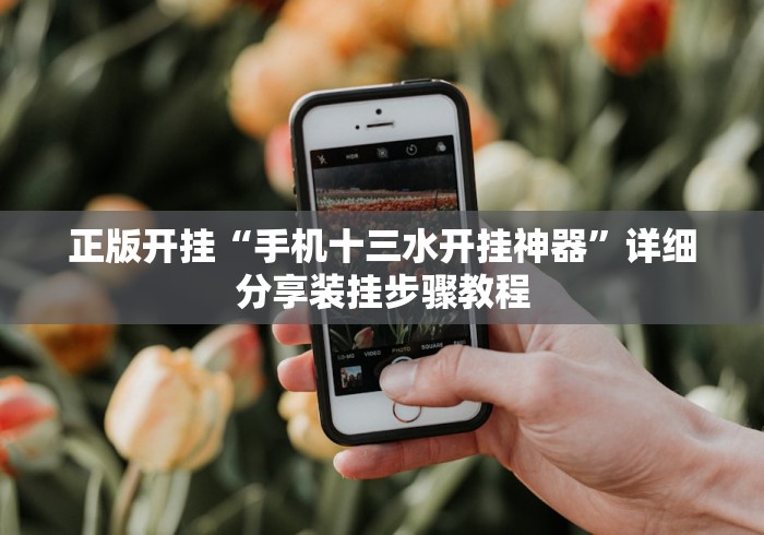 正版开挂“手机十三水开挂神器	”详细分享装挂步骤教程