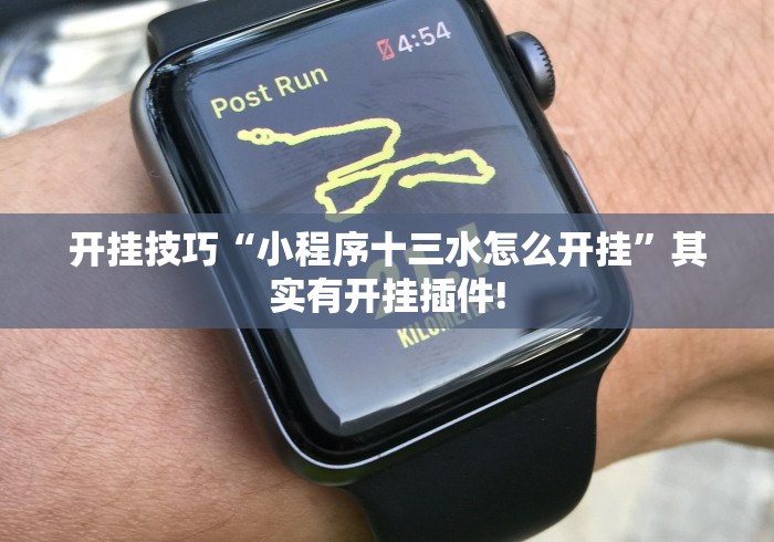 开挂技巧“小程序十三水怎么开挂”其实有开挂插件!