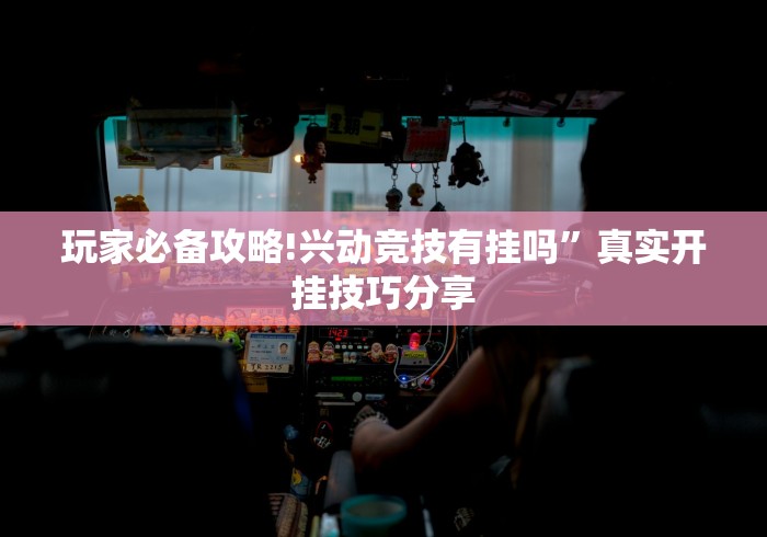 玩家必备攻略!兴动竞技有挂吗”真实开挂技巧分享