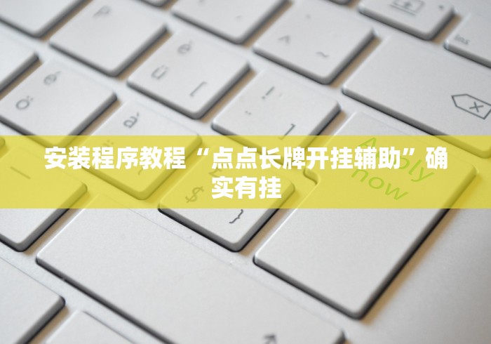 安装程序教程“点点长牌开挂辅助”确实有挂
