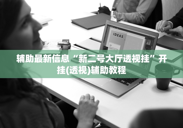 辅助最新信息“新二号大厅透视挂”开挂(透视)辅助教程