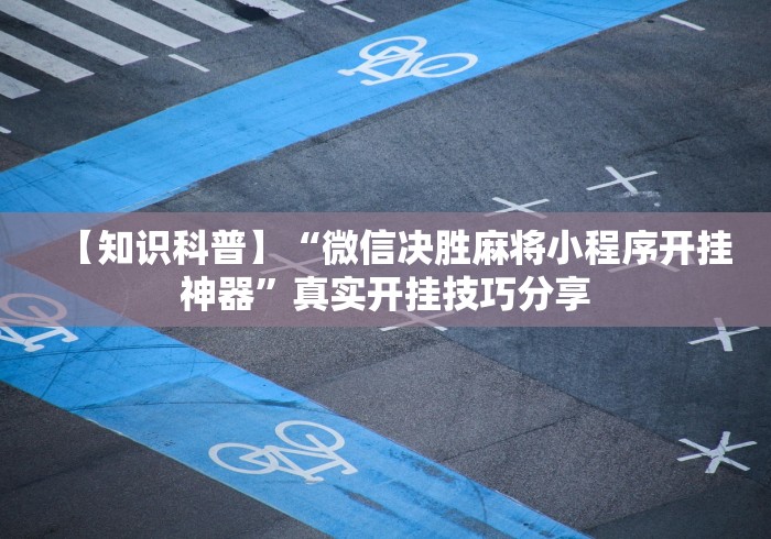 辅助神器“来宾麻将开挂辅助工具”(果然有透视挂)