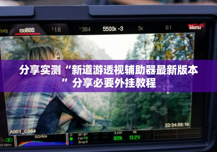 分享实测“新道游透视辅助器最新版本”分享必要外挂教程