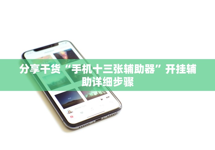 分享干货“手机十三张辅助器”开挂辅助详细步骤