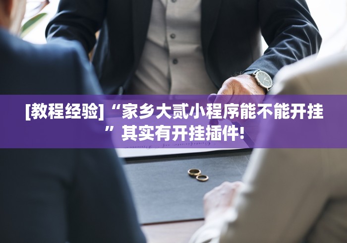 [教程经验]“家乡大贰小程序能不能开挂	”其实有开挂插件!